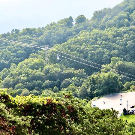 Million Dollar Views! 4 Bedroom, Sleeps 9, Close To National Park And 5 Mi To Gatlinburg! Zewnętrze zdjęcie