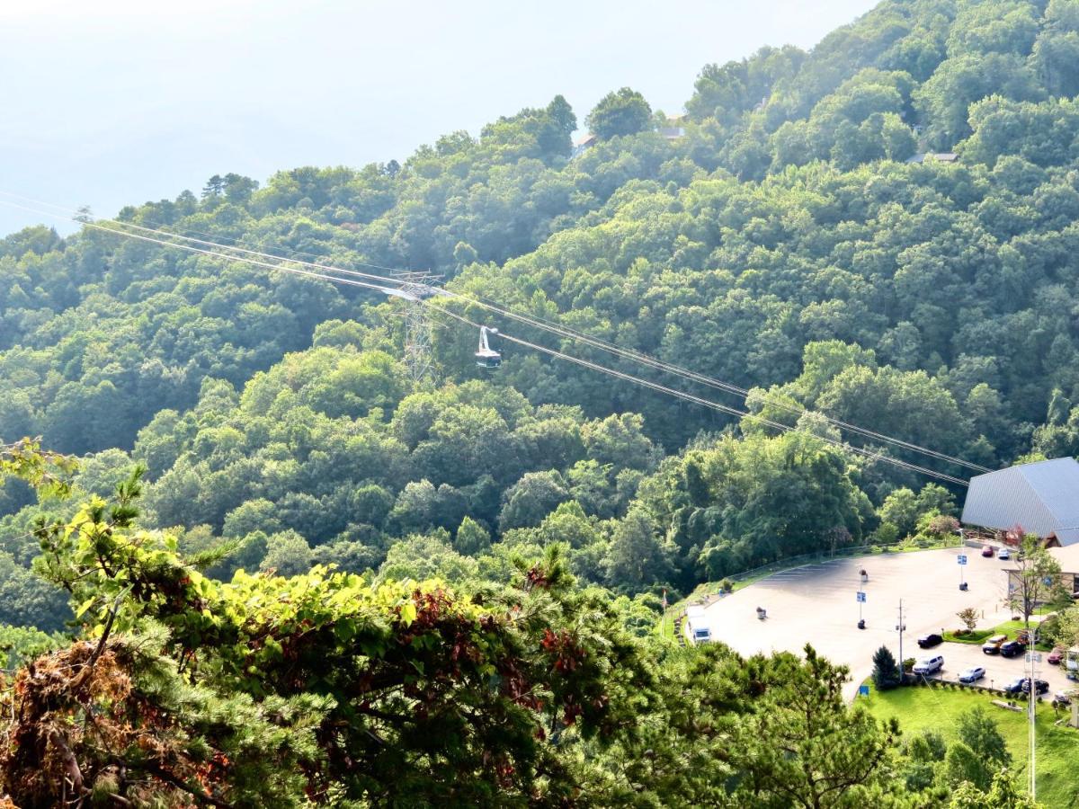Million Dollar Views! 4 Bedroom, Sleeps 9, Close To National Park And 5 Mi To Gatlinburg! Zewnętrze zdjęcie